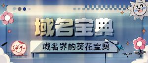 为什么要玩域名呢-帕米洛